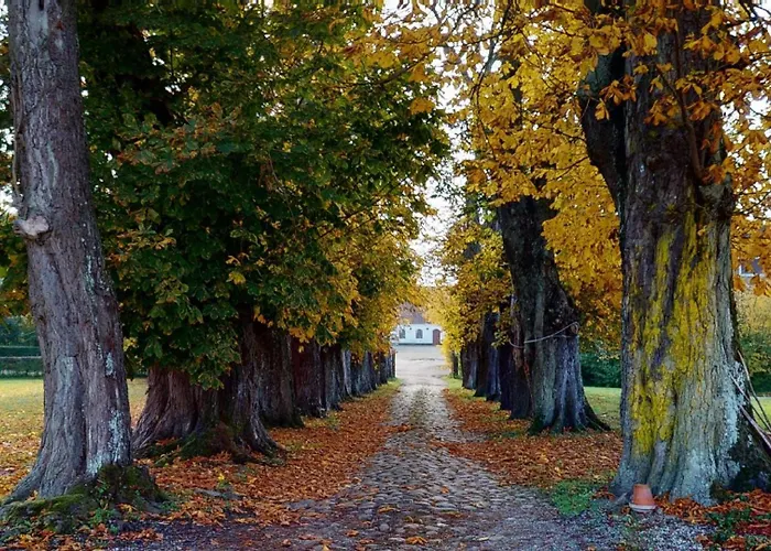 Nocleg ze śniadaniem Gelskov Gods - Historic Manor Ringe