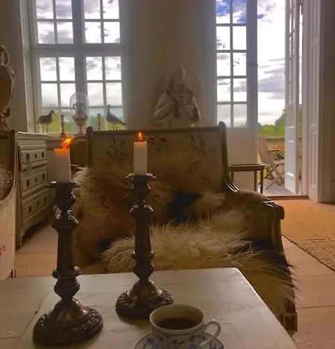 Gelskov Gods - Historic Manor Bed & Breakfast Ringe